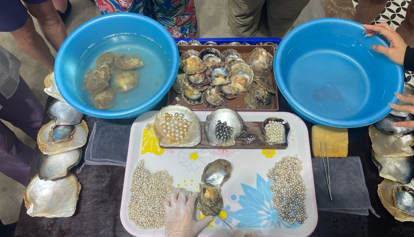 Hands cleaning abalone shells in plastic bowls of water