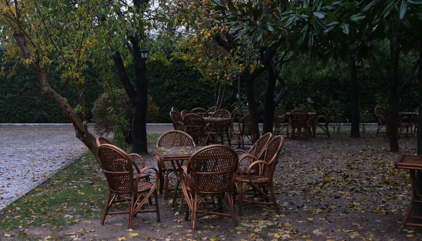 Rattan chairs and table under autumn trees