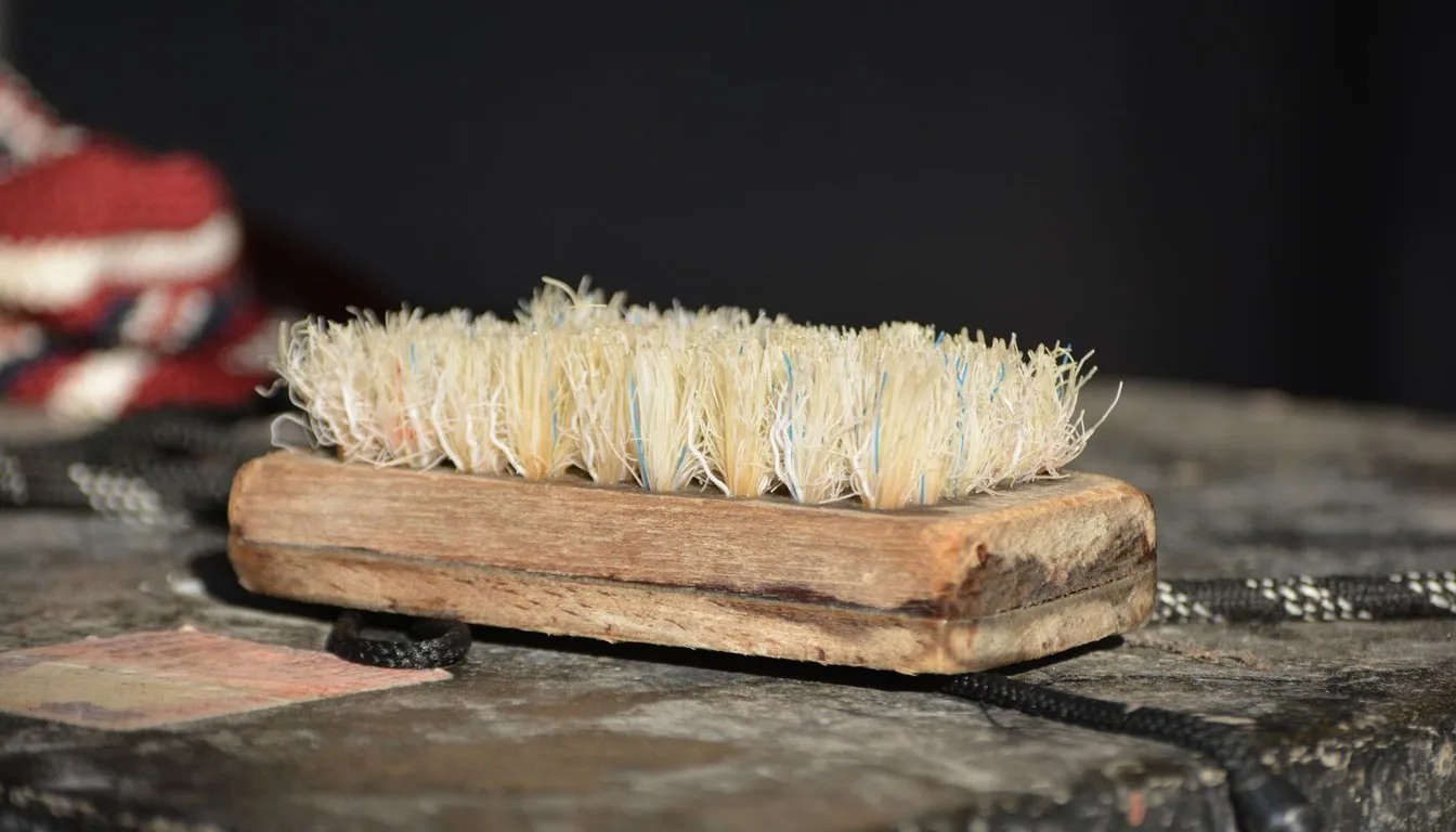 Natural bristle brush on a wooden block